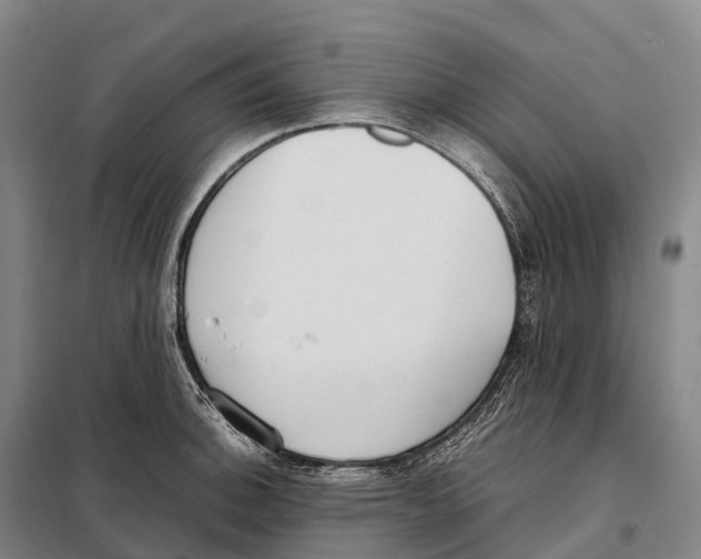 X0000098021140200804251131