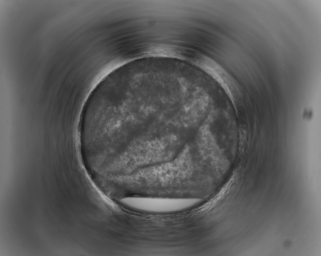 X0000098021141200804251131