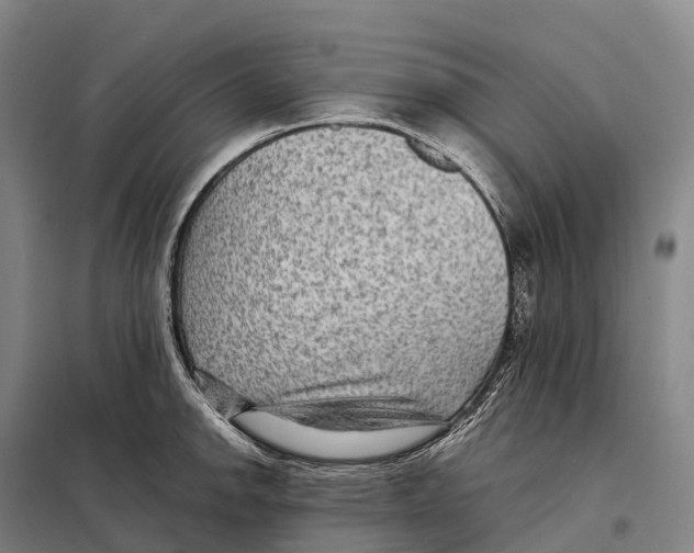 X0000098021142200804251131
