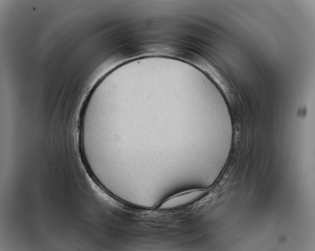 X0000098021143200804251131