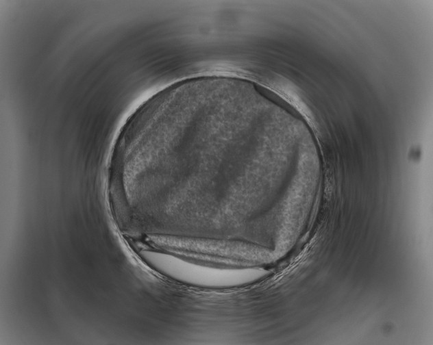 X0000098021144200804251131