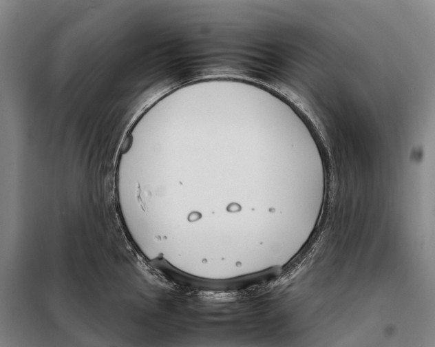 X0000098021145200804251131
