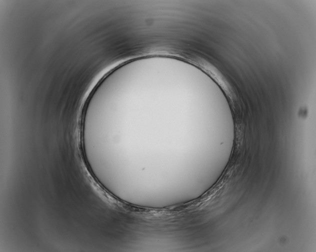 X0000098021148200804251131