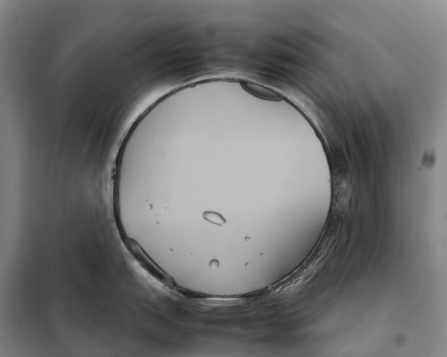 X0000098021151200804251131