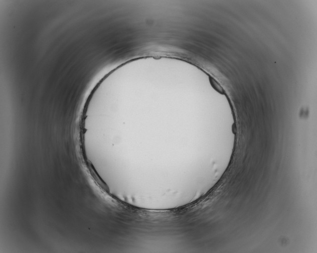 X0000098021152200804251131