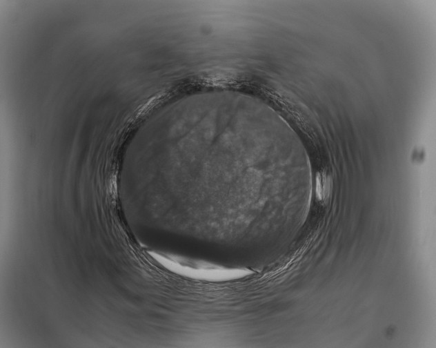 X0000098021155200804251130
