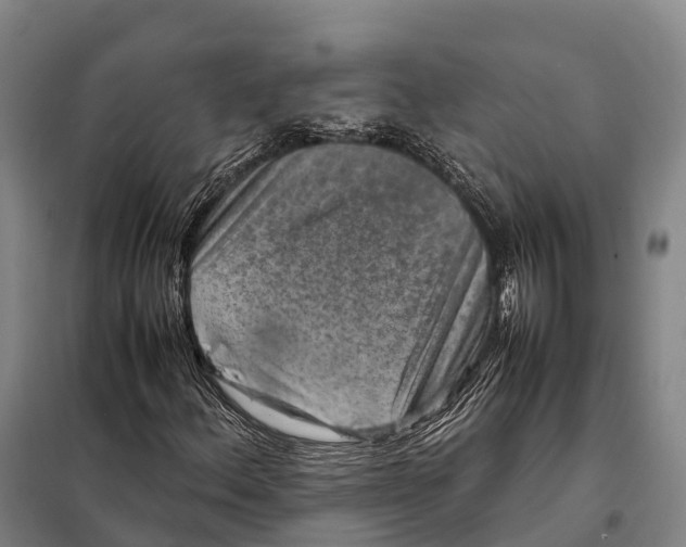 X0000098021156200804251130