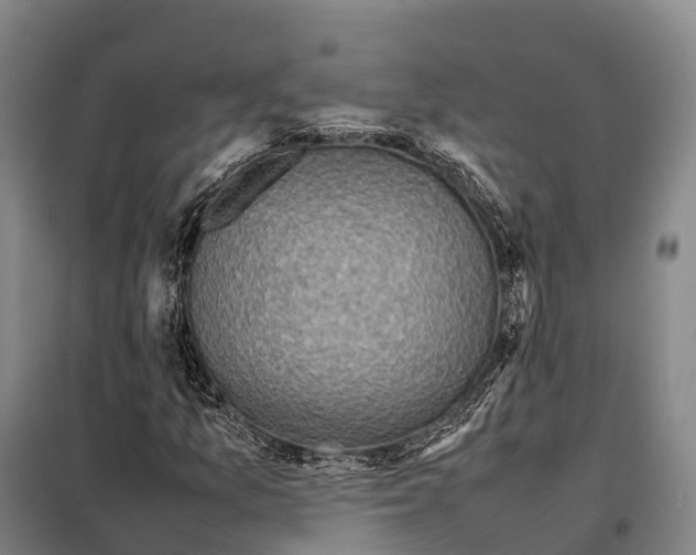 X0000098021157200804251130