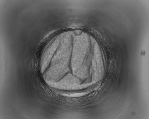 X0000098021158200804251130