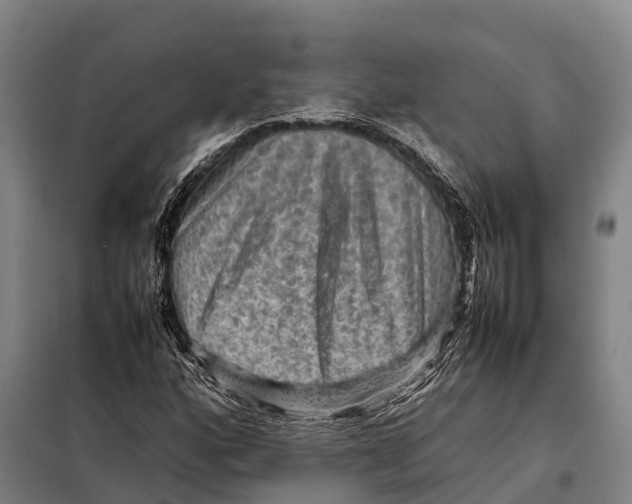 X0000098021160200804251130