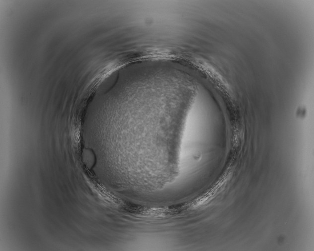 X0000098021161200804251130