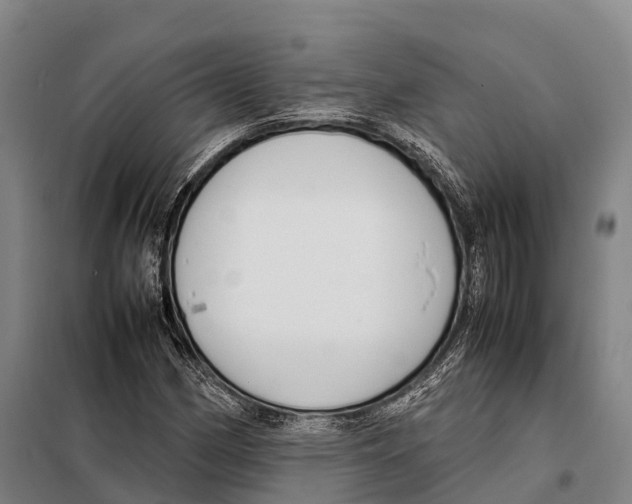 X0000098021162200804251130