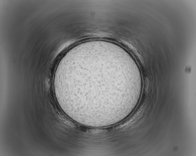 X0000098021163200804251130