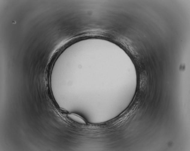 X0000098021164200804251130