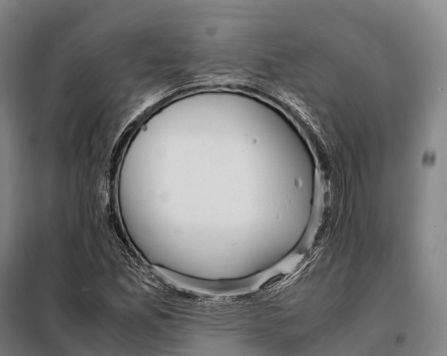 X0000098021165200804251130