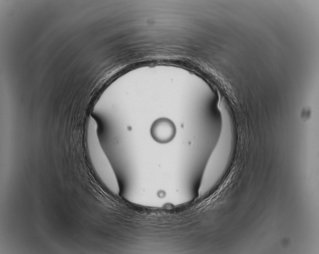 X0000098021169200804251130