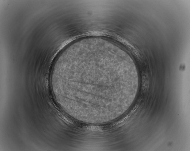 X0000098021170200804251130
