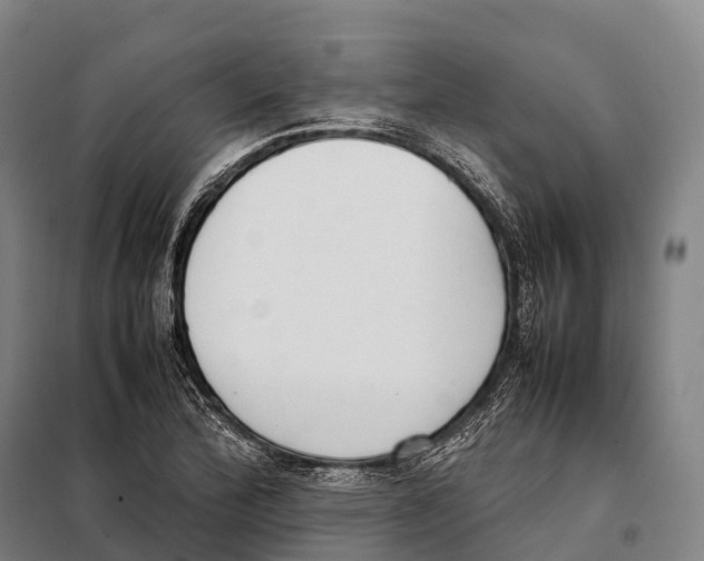 X0000098021172200804251130
