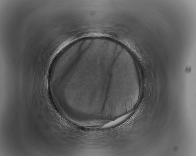 X0000098021173200804251130