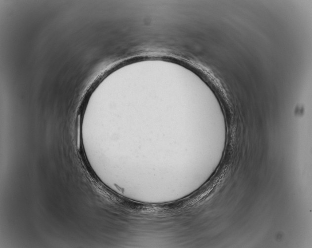 X0000098021175200804251130