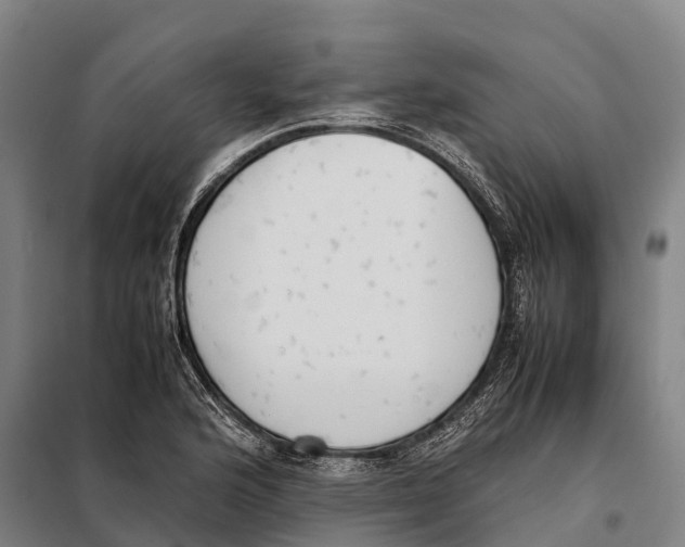 X0000098021176200804251130