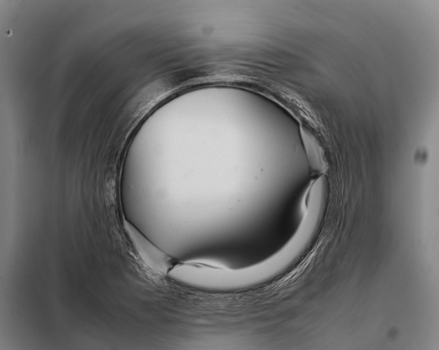 X0000098021177200804251130