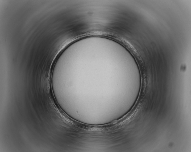 X0000098021178200804251130