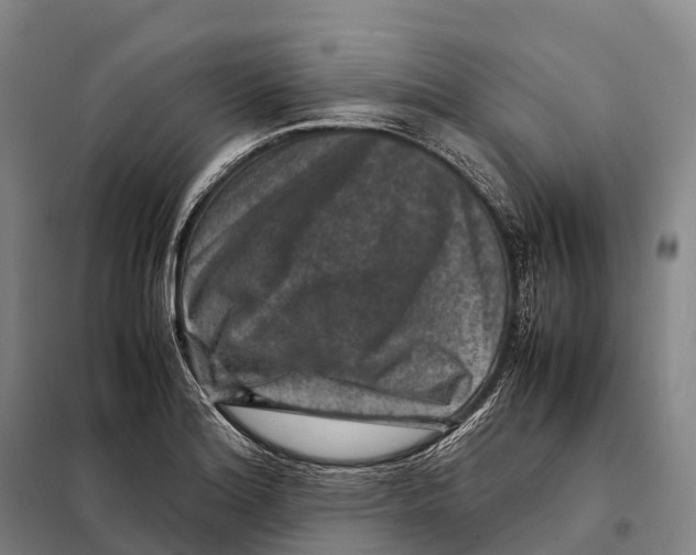 X0000098021180200804251130