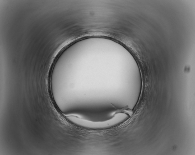 X0000098021181200804251130