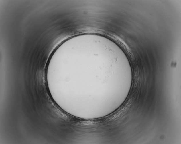 X0000098021182200804251130