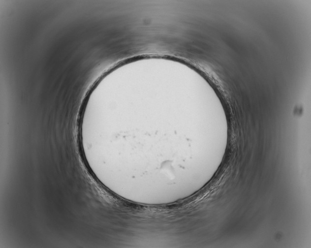 X0000098021183200804251130
