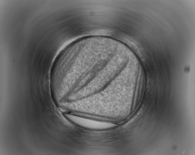 X0000098021184200804251130