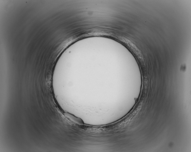 X0000098021185200804251130