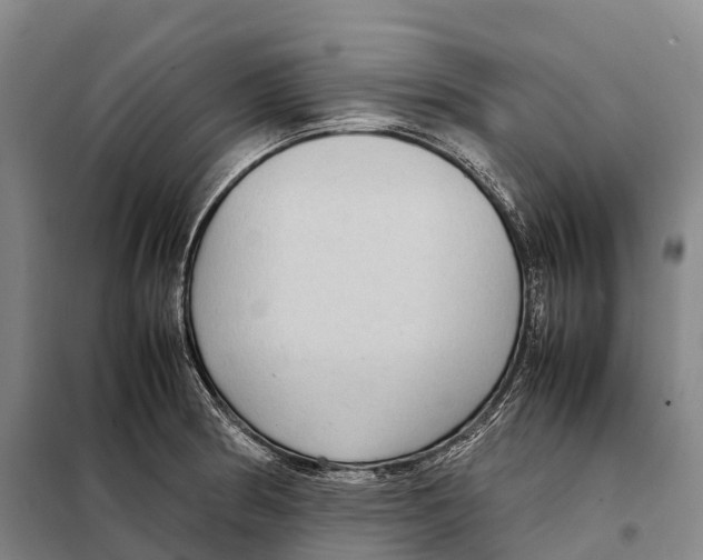 X0000098021186200804251130