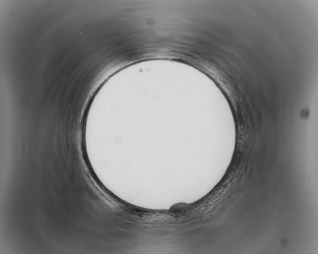 X0000098021187200804251130
