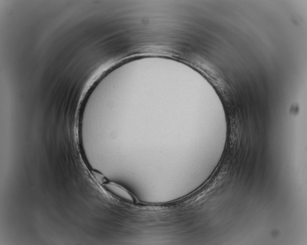 X0000098021188200804251130