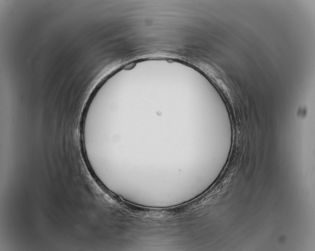 X0000098021189200804251130