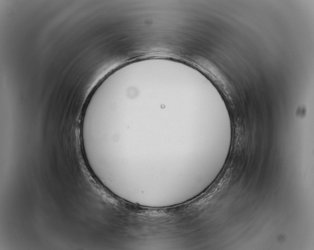 X0000098021190200804251130