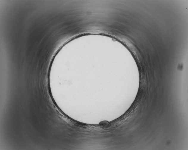X0000098021191200804251130