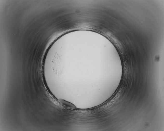 X0000098021192200804251130