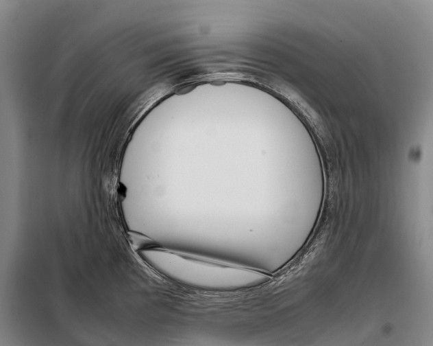 X0000098021193200804251130