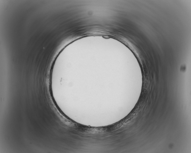 X0000098021195200804251130