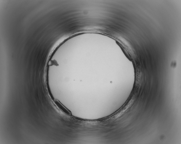 X0000098021196200804251130
