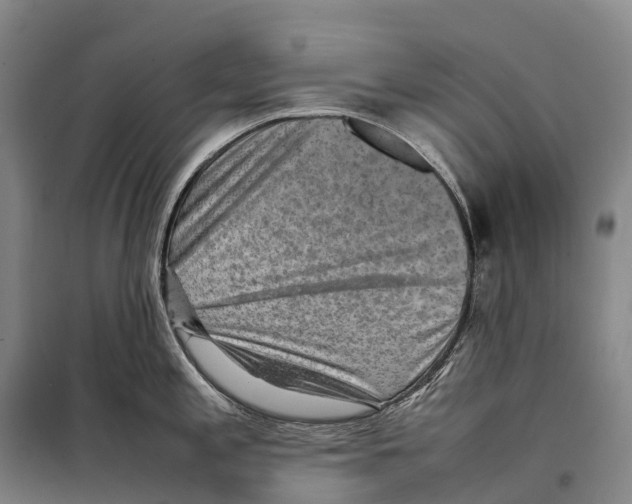 X0000098021197200804251130