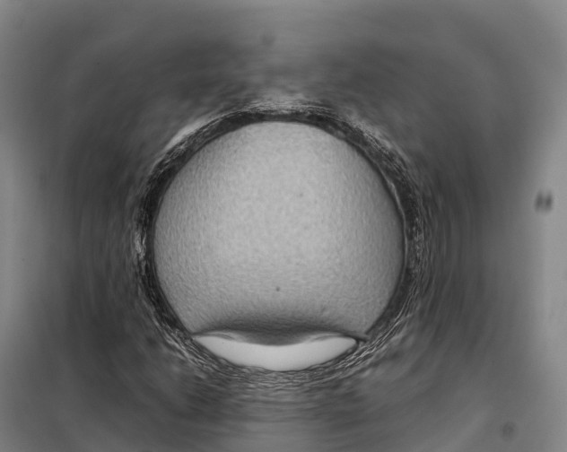 X0000098021206200804251129