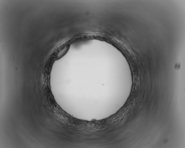X0000098021207200804251129