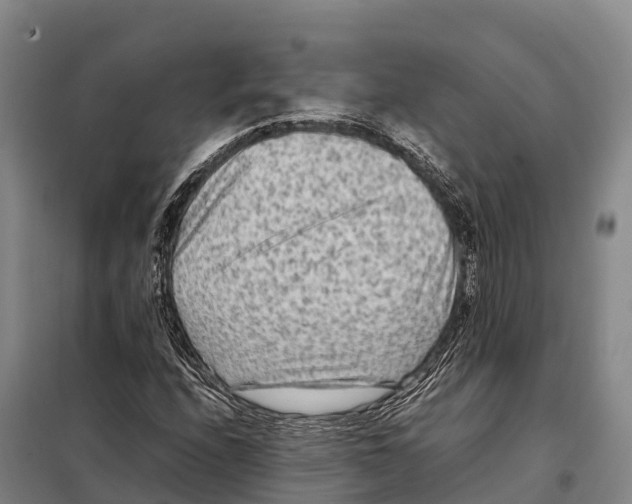 X0000098021208200804251129