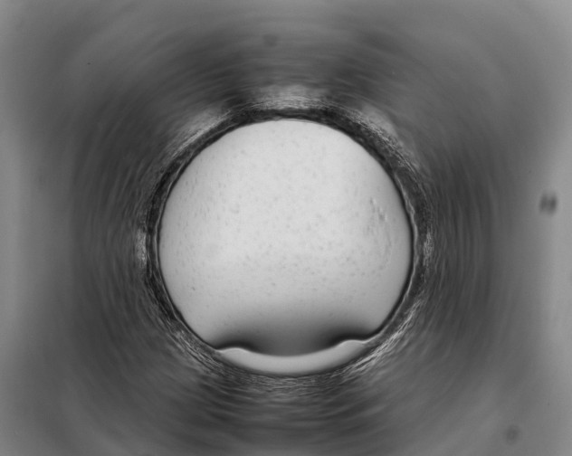 X0000098021209200804251129