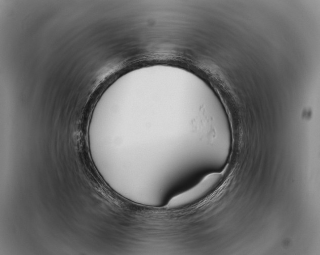X0000098021210200804251129