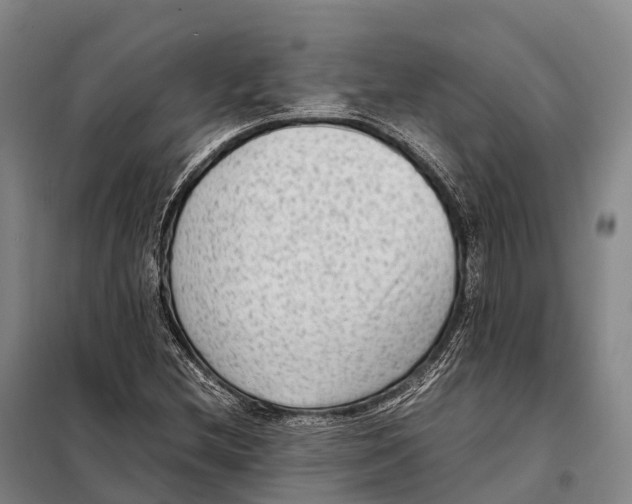 X0000098021212200804251129